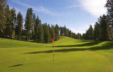 Purcell Golf - Home of the Kimberley Golf Club