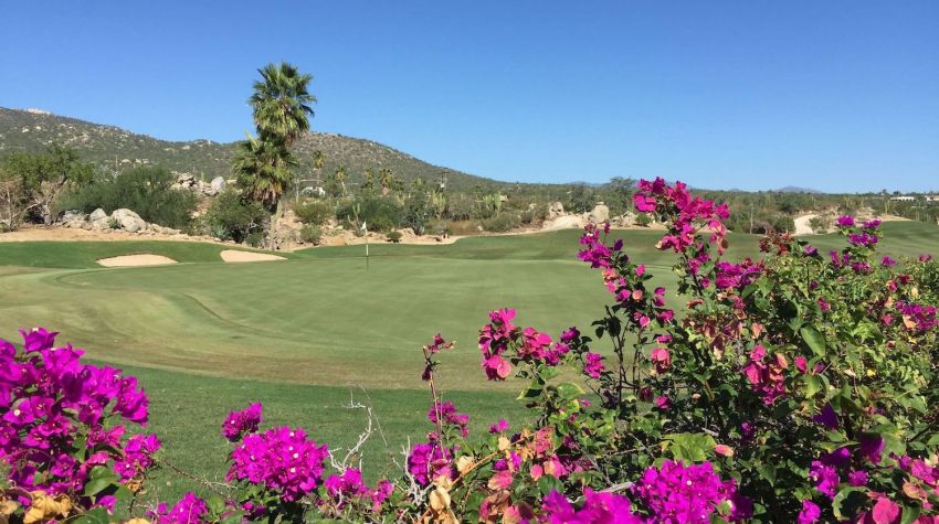 Cabo Del Sol Ocean Course