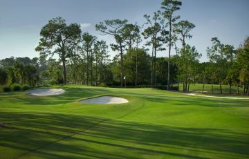 Saddlebrook Resort - Palmer Gc