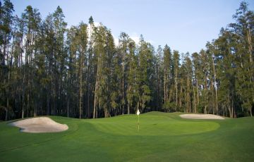 Saddlebrook Resort - Saddlebrook Gc