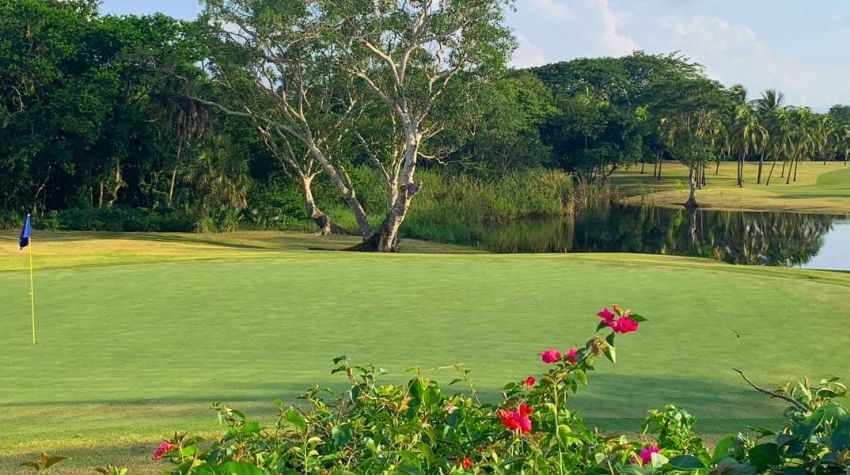 Flamingos Golf