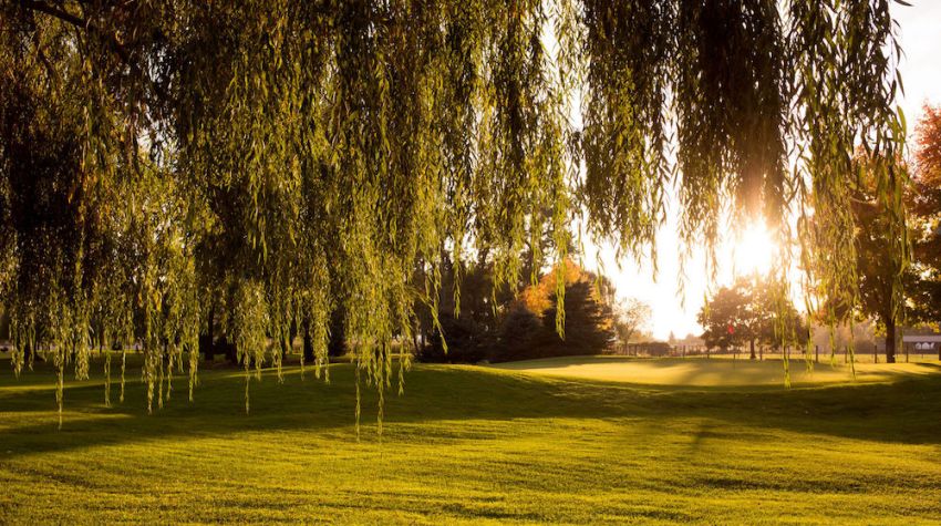 Mission Creek Golf Club
