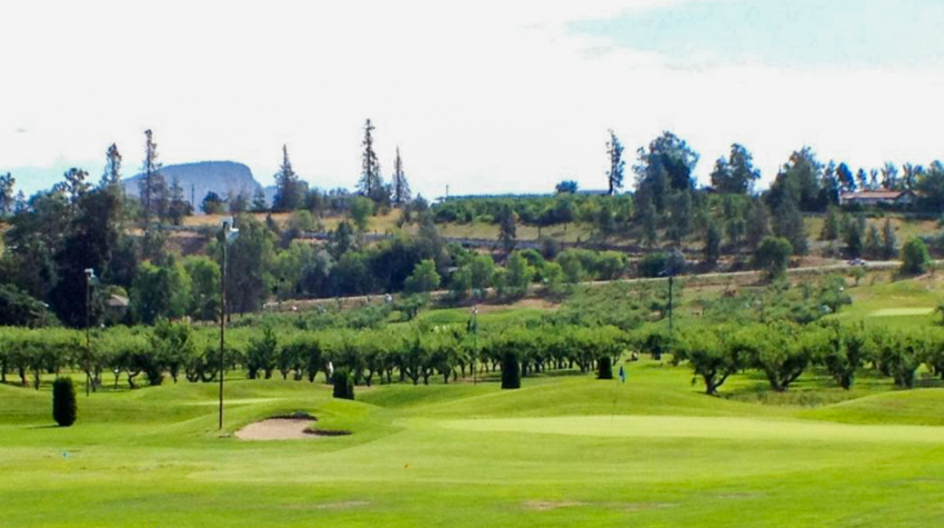 orchard greens golf club