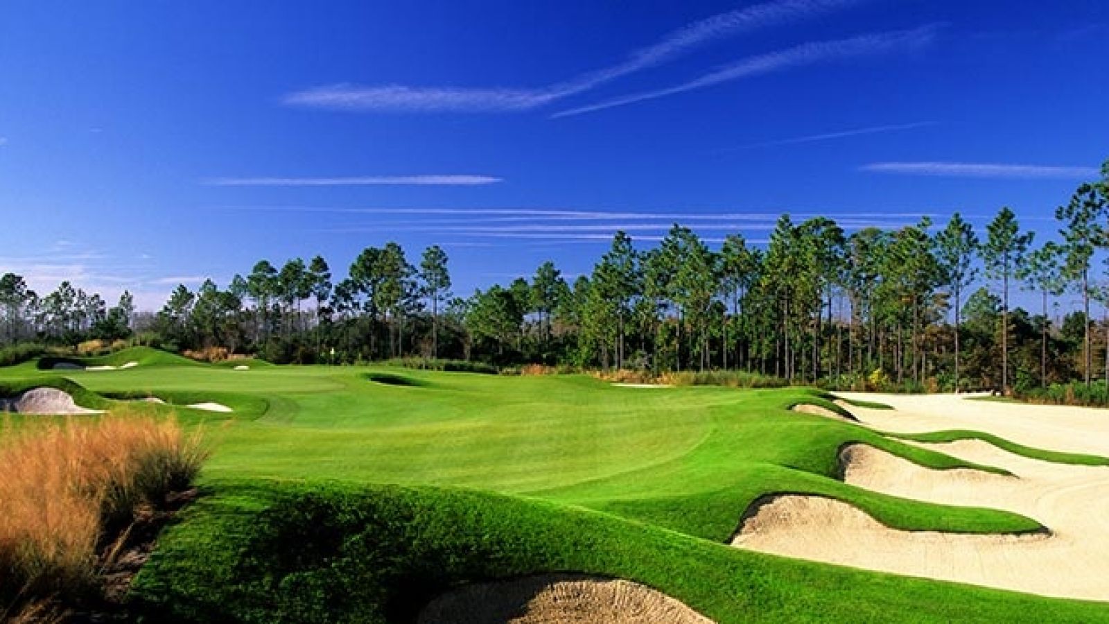 Hammock Beach - Jacksonville and area golf packages