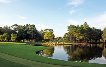 Innisbrook: A Salamander Golf and Spa Resort