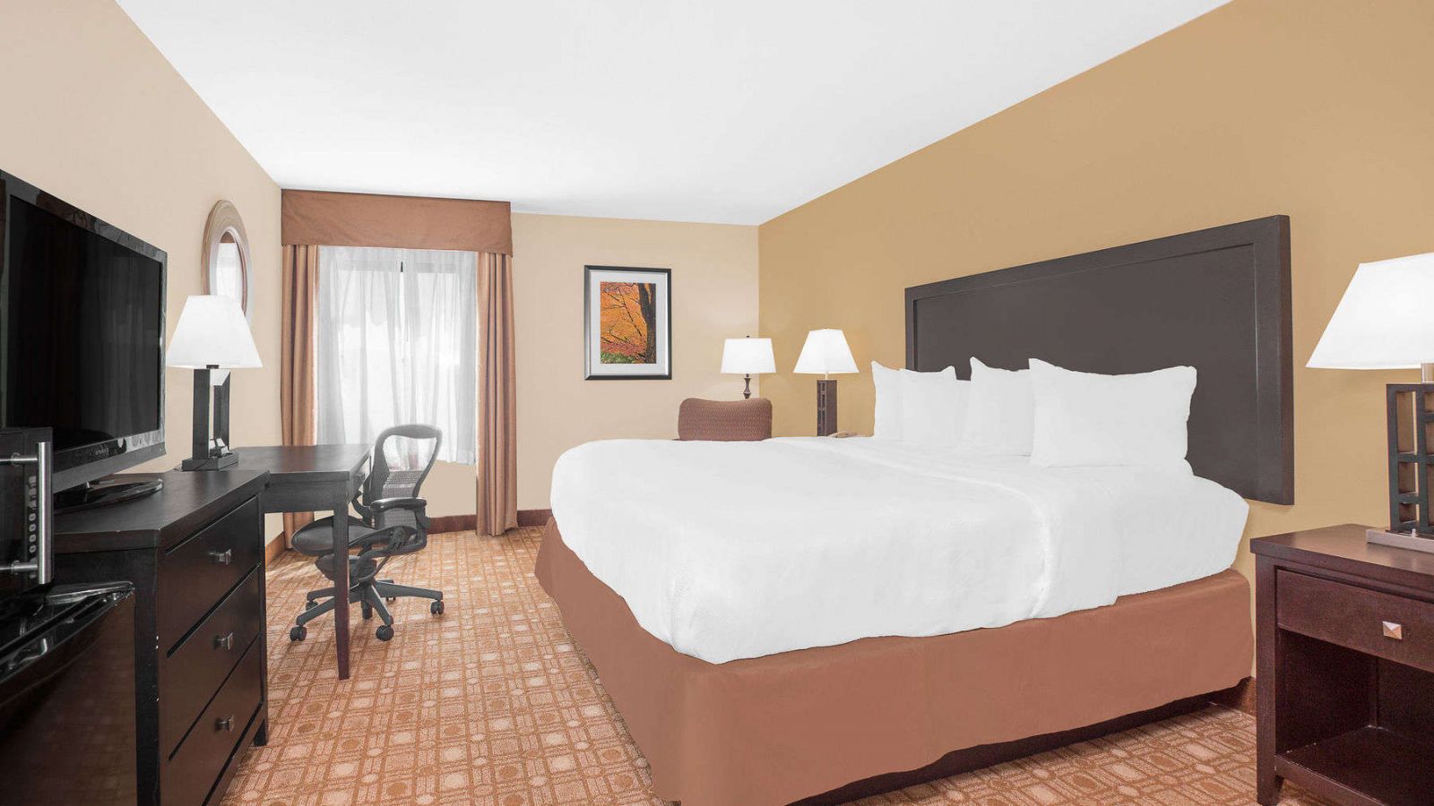 Baymont Inn & Suites Augusta - standard room