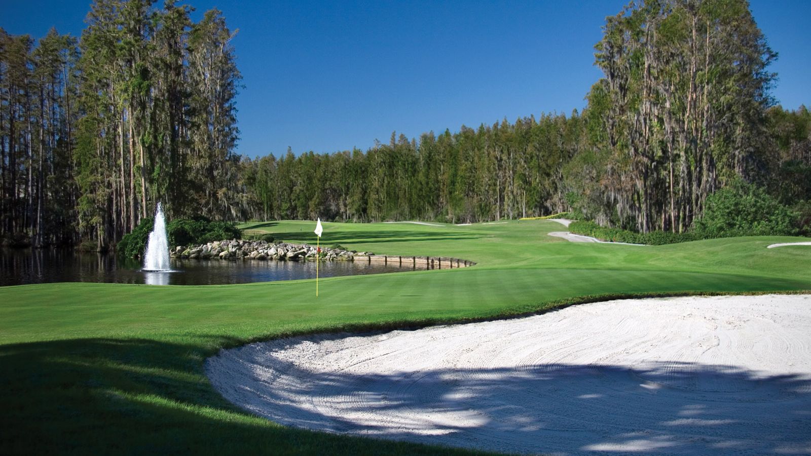 Saddlebrook Resort - 36 holes of golf on site